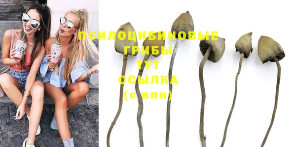 стафф Белоозёрский