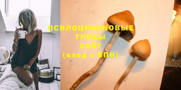 эйфоретик Беломорск