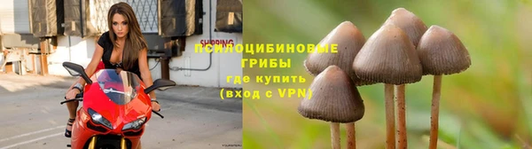 альфа пвп VHQ Белокуриха