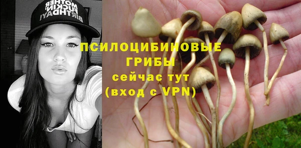 эйфоретик Беломорск